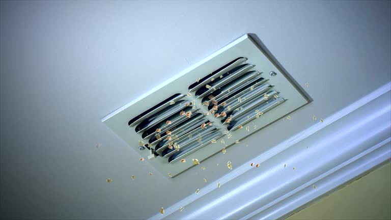 Best Dryer Vent Cleaning Services  in Oil City, PA